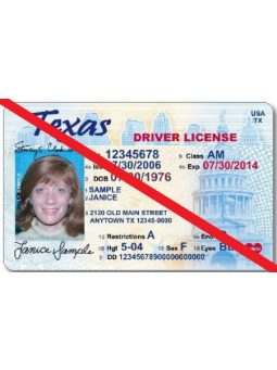 what is the audit number on texas id